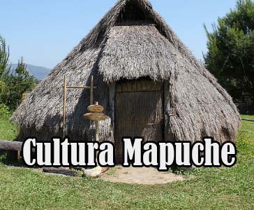 elementos de la Cultura Mapuche