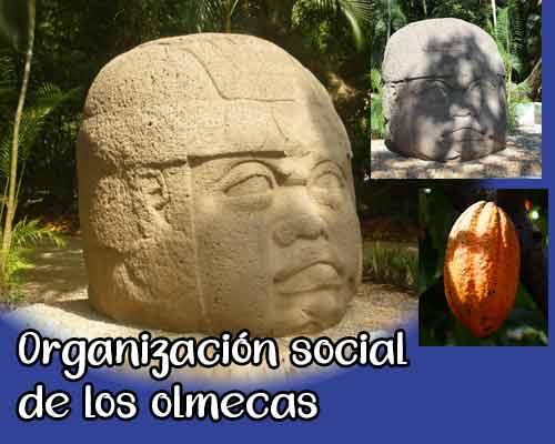 organizacion social y cultural de la cultura olmeca